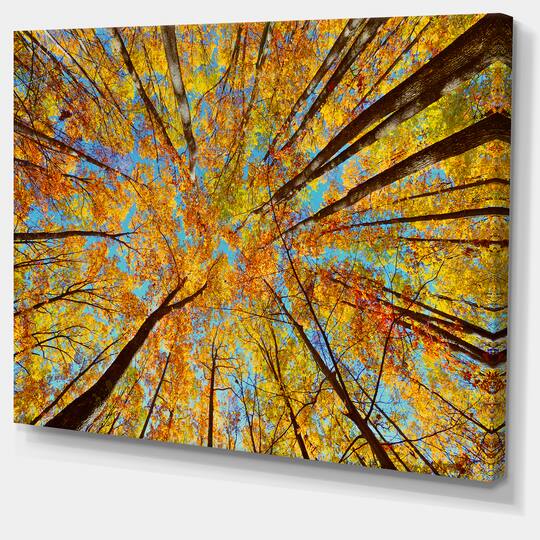 Designart - Tree Tops in Autumn Forest